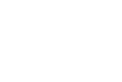 Логотип footer